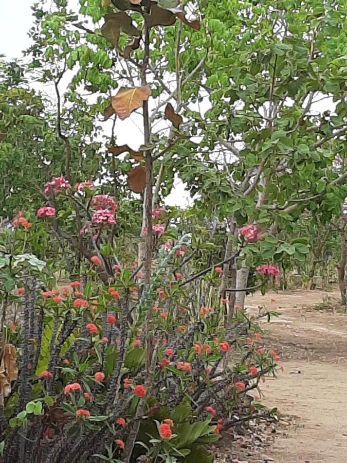 Estancia Morro Do Frota 피라노폴리스 외부 사진