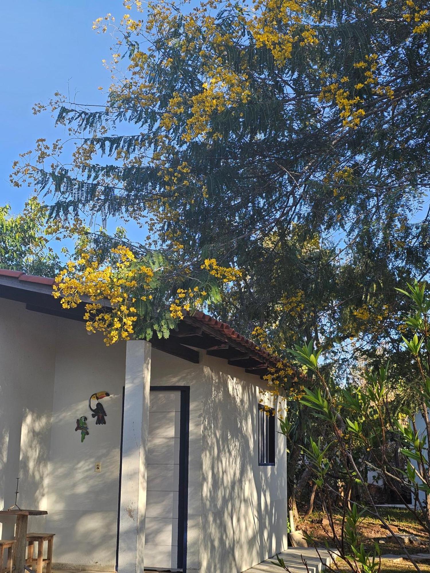 Estancia Morro Do Frota 피라노폴리스 외부 사진